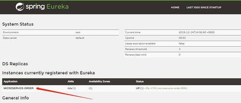 Spring Cloud中的Eureka服务注册与发现详解及其与互联网域名注册服务的类比
