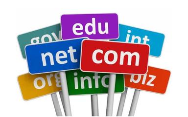 美国网站域名 互联网域名注册服务概览与选择指南