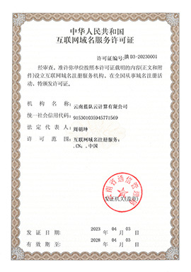 互联网域名注册服务的资质与荣誉之路
